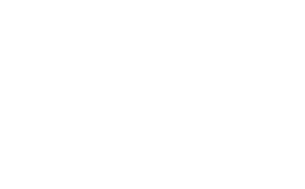 SOULFIRE