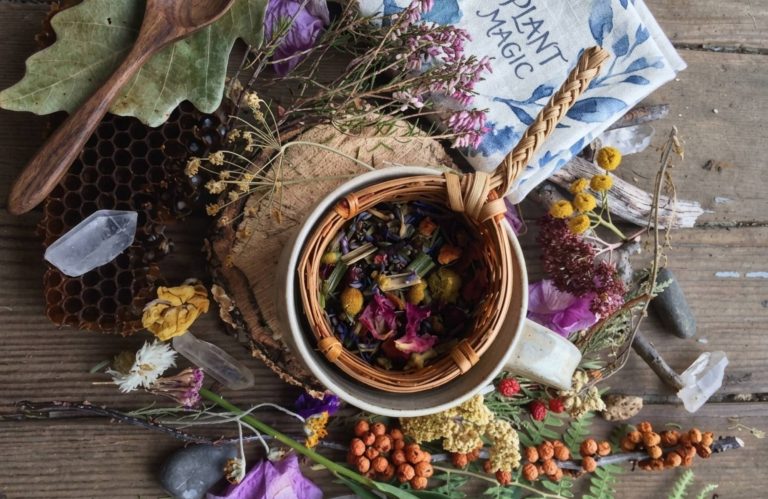 Masterclass Infusiones Herbales – 25 abril 2026